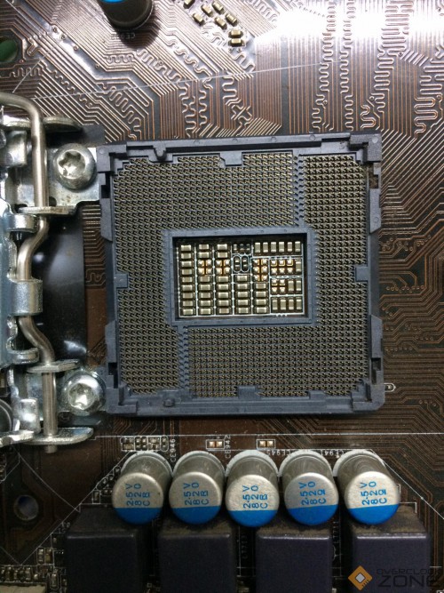 122942329 1003375126807330 5785502673837168245 n