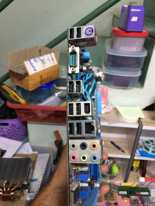 134694501 202593624872667 3431704567164638312 n