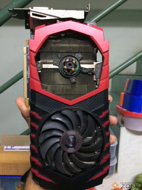 152721565 1318961885126613 7560531924556914533 n