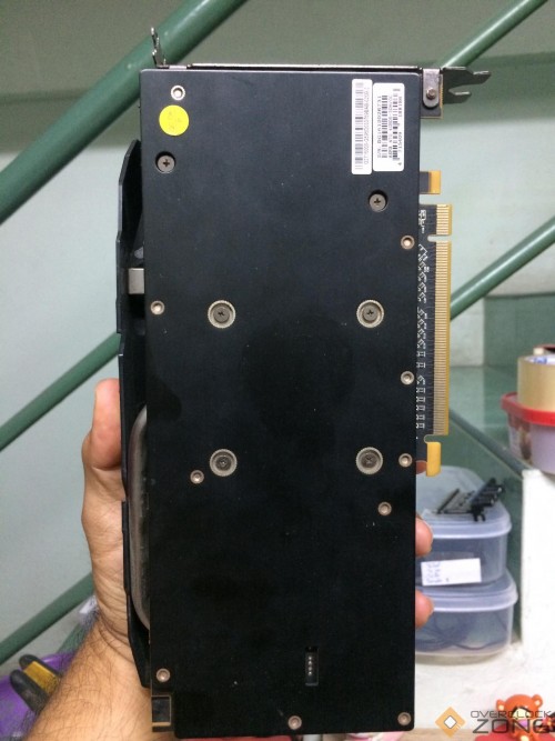 159239998 1164269660695155 5432940812388876244 n