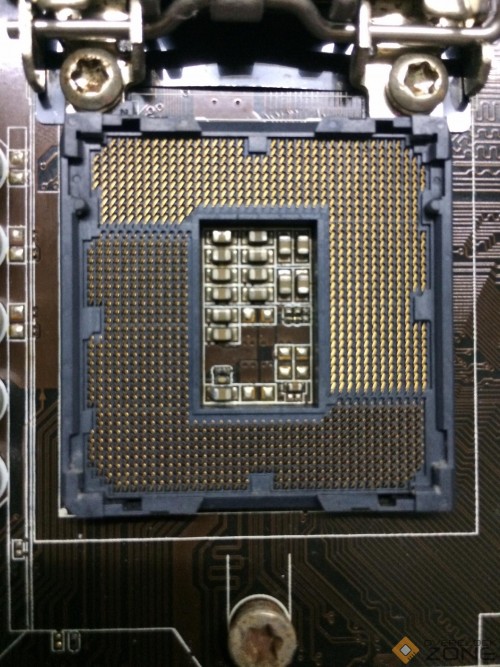 205480739 1062679047472889 354328065292307345 n