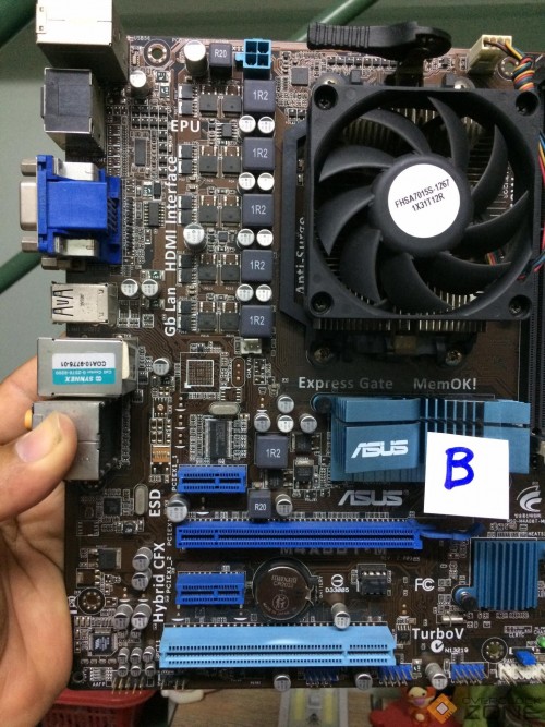 214851387 2946366338954517 4392243678602465090 n