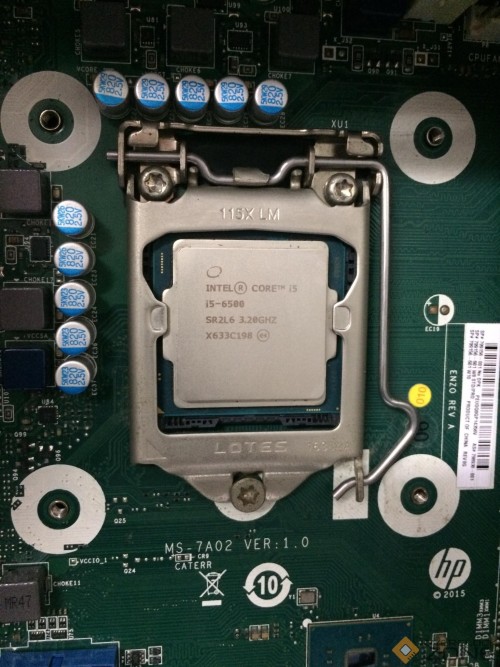 244508042 4475722819147845 5107281709045079986 n