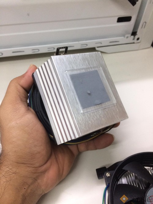 246560014 417334603241656 4873706200289394604 n