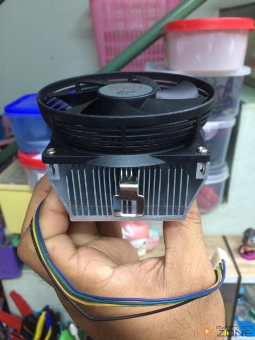 246232212 869219407288962 6796460468474199992 n