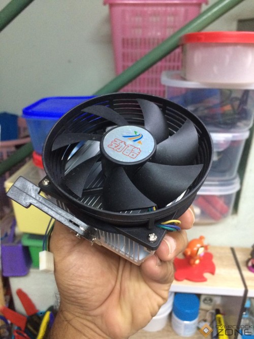 245637903 239795448202666 370787587852782208 n