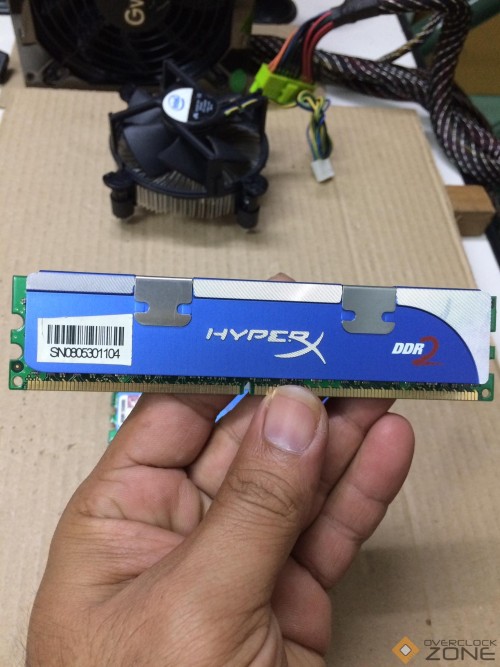 250716196 925985761653607 7376093033130002231 n