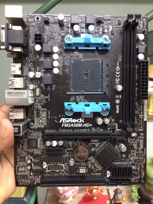 258495462 224621863114739 1594365220473163399 n