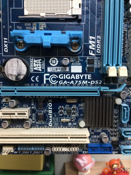 260067667 4252941928149756 4289029359300151399 n