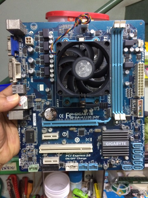 261666652 475248340927699 5577303872913445940 n