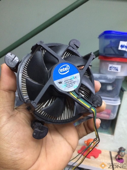 277974136 380062287360157 6484165118241138858 n