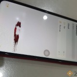 f58703d1d556c473d5619d27648d9ef6