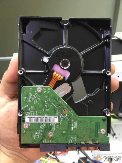 341006571 258732653234989 2417850558245508693 n